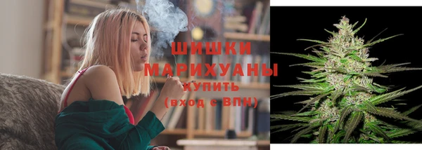 МДПВ Карпинск