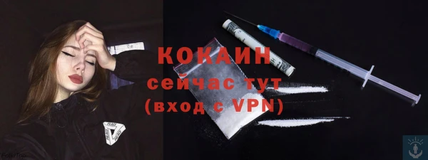 a pvp Каменка
