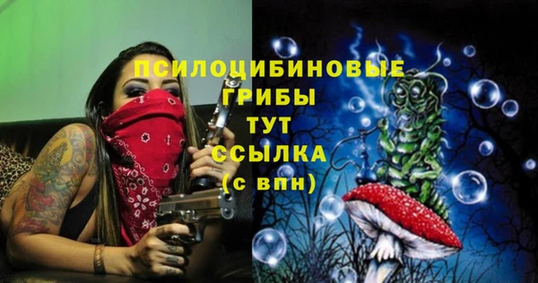 метамфетамин Каменногорск
